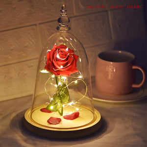 Beauty and the Beast- Rose in a Glass