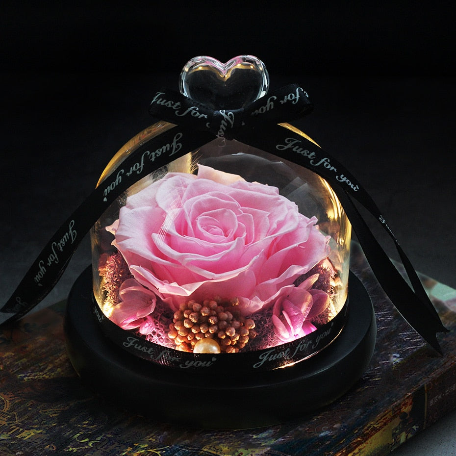 The Beauty and Beast Eternal Rose Anniversary Gift
