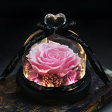 The Beauty and Beast Eternal Rose Anniversary Gift