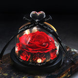 The Beauty and Beast Eternal Rose Anniversary Gift