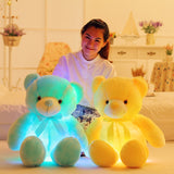 Teddy Bear LED Plush Toy