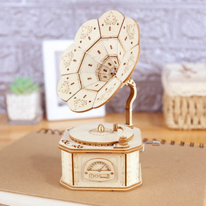 DIY Phonograph - Music Chest
