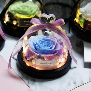 The Beauty and Beast Eternal Rose Anniversary Gift