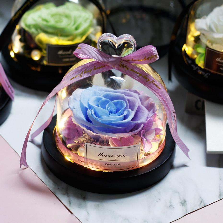 The Beauty and Beast Eternal Rose Anniversary Gift