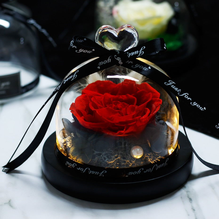The Beauty and Beast Eternal Rose Anniversary Gift