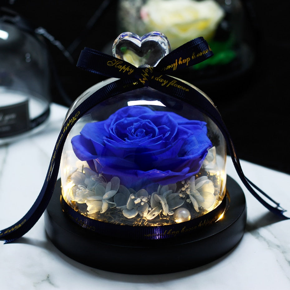 The Beauty and Beast Eternal Rose Anniversary Gift