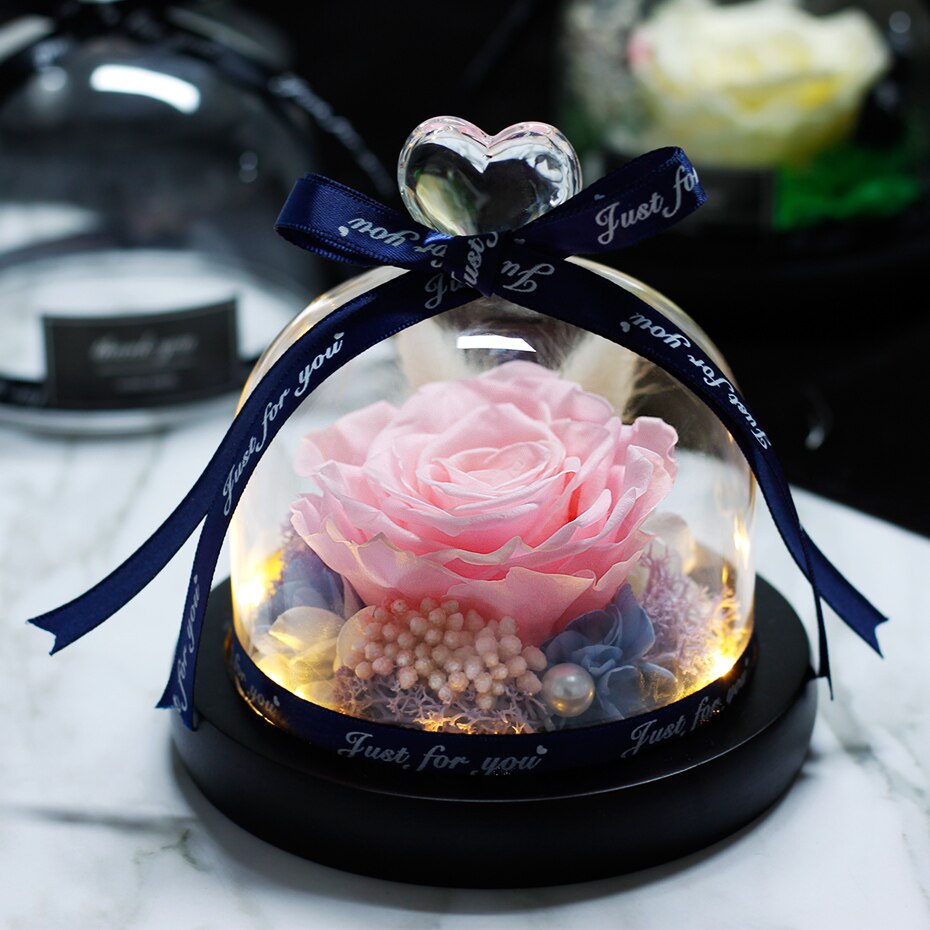 The Beauty and Beast Eternal Rose Anniversary Gift