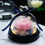 The Beauty and Beast Eternal Rose Anniversary Gift