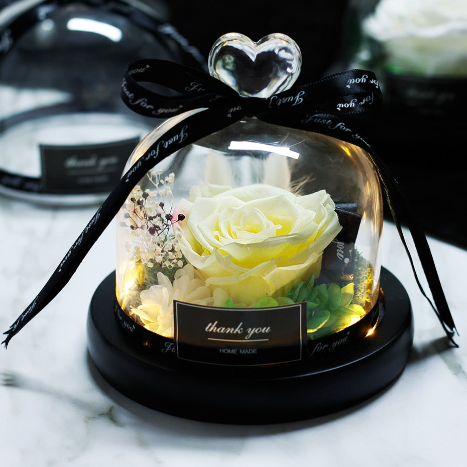 The Beauty and Beast Eternal Rose Anniversary Gift