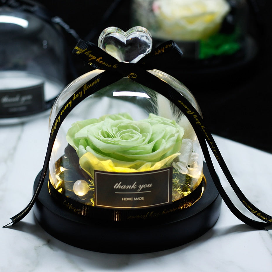 The Beauty and Beast Eternal Rose Anniversary Gift