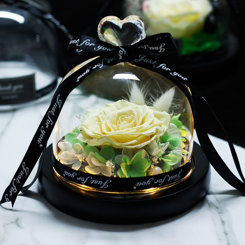 The Beauty and Beast Eternal Rose Anniversary Gift
