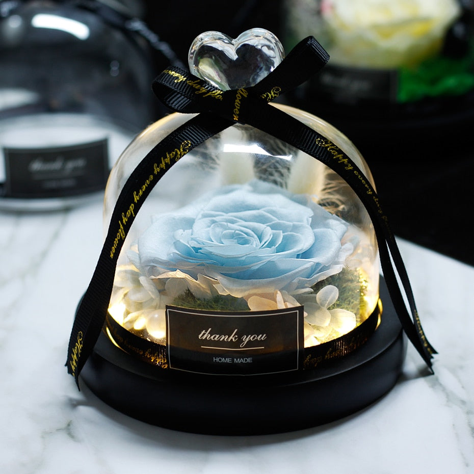 The Beauty and Beast Eternal Rose Anniversary Gift
