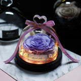 The Beauty and Beast Eternal Rose Anniversary Gift