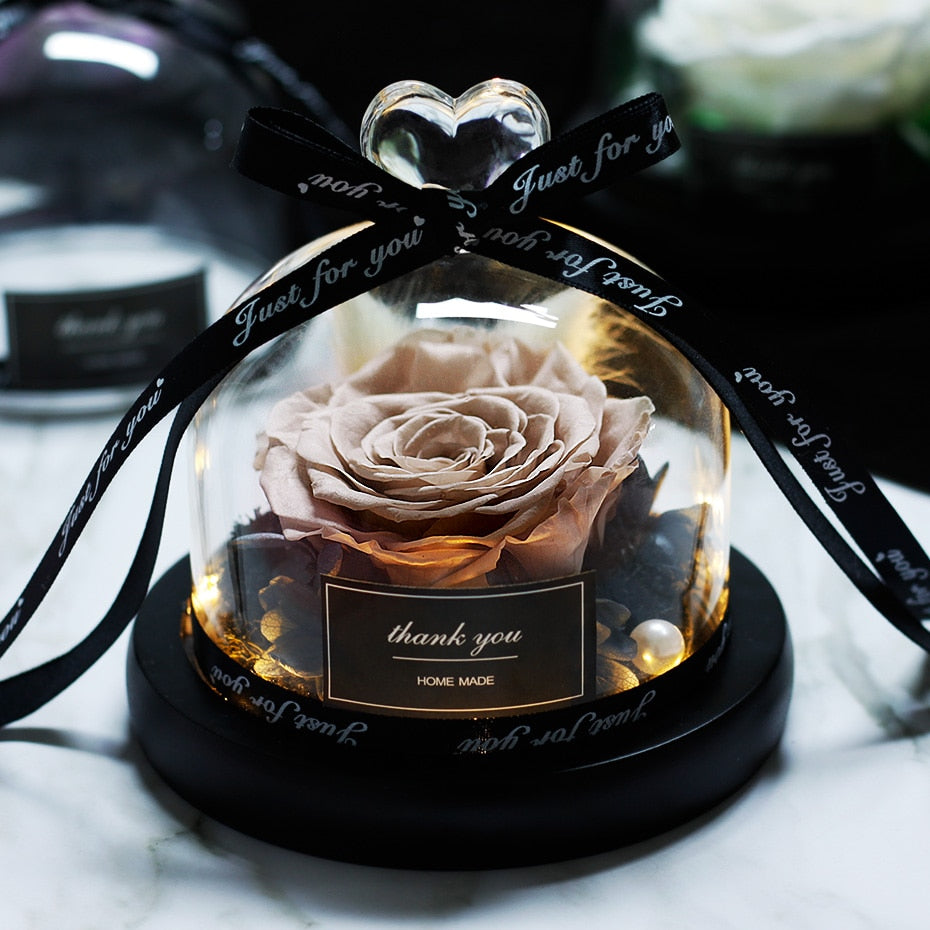 The Beauty and Beast Eternal Rose Anniversary Gift
