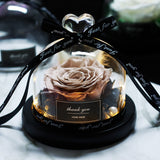The Beauty and Beast Eternal Rose Anniversary Gift