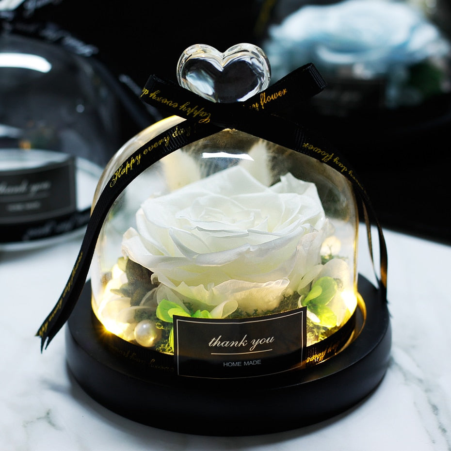 The Beauty and Beast Eternal Rose Anniversary Gift