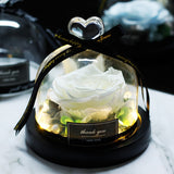 The Beauty and Beast Eternal Rose Anniversary Gift