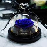 The Beauty and Beast Eternal Rose Anniversary Gift