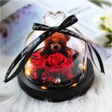 The Beauty and Beast Eternal Rose Anniversary Gift