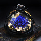 The Beauty and Beast Eternal Rose Anniversary Gift