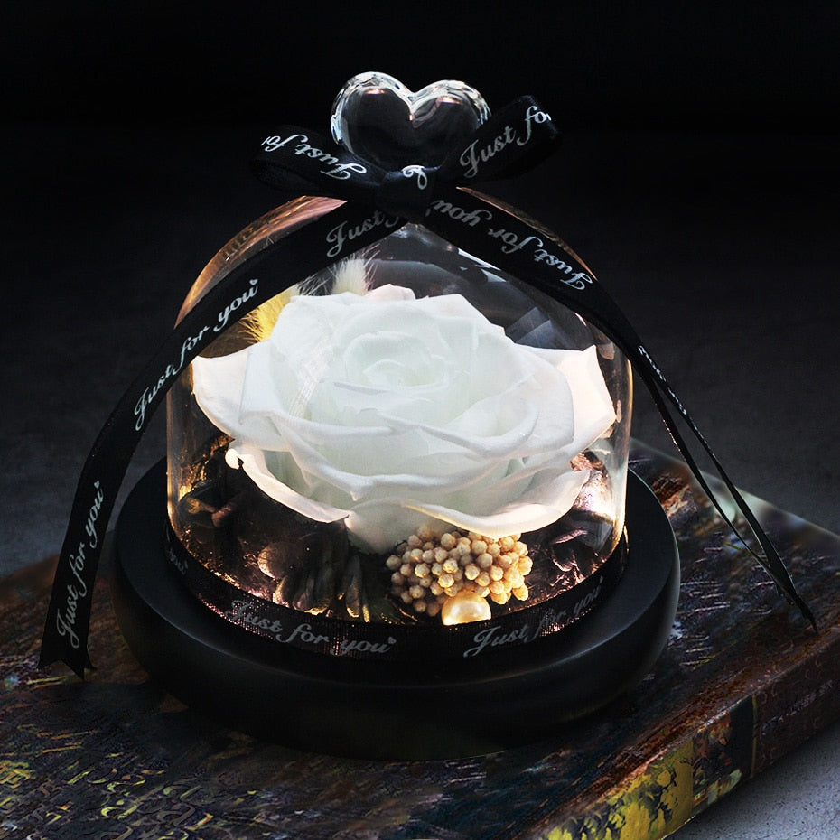 The Beauty and Beast Eternal Rose Anniversary Gift