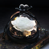 The Beauty and Beast Eternal Rose Anniversary Gift