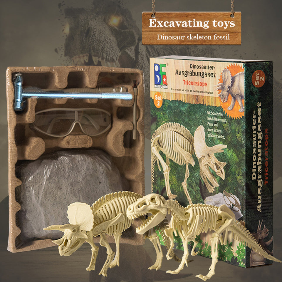 Archaeological Dinosaur Fossil Skeleton Model