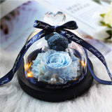 The Beauty and Beast Eternal Rose Anniversary Gift