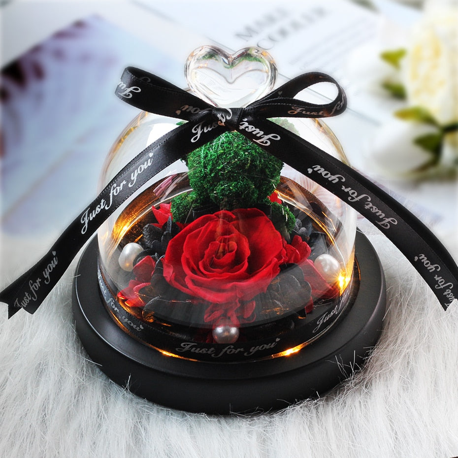 The Beauty and Beast Eternal Rose Anniversary Gift