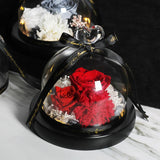 The Beauty and Beast Eternal Rose Anniversary Gift