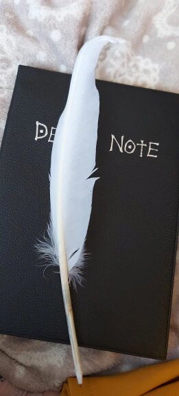 New Collectable Death Note Notebook - Popular Anime Iconic Notebook fo –  Music Chests