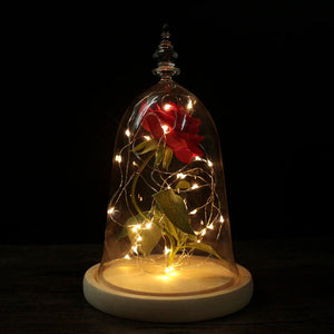 Beauty and the Beast- Rose in a Glass