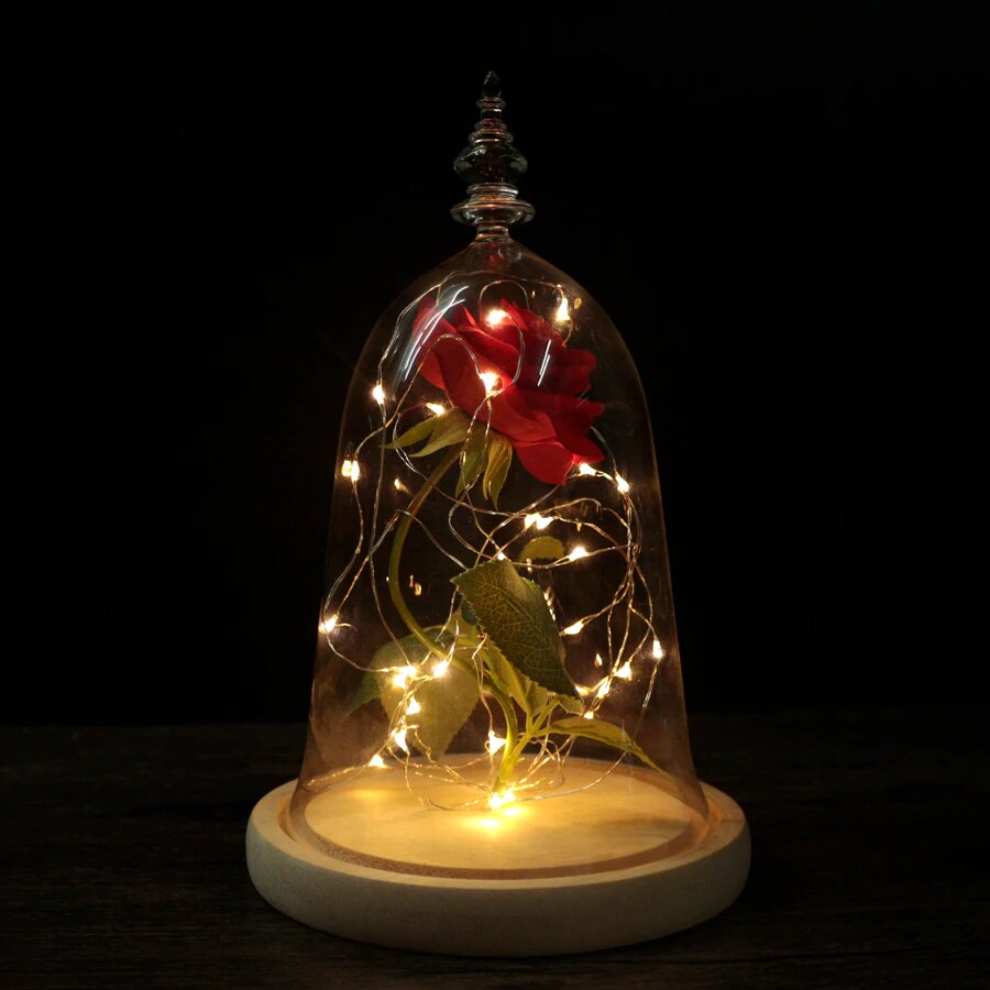 Beauty and the Beast- Rose in a Glass