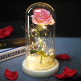 Beauty and the Beast -Enchanted Rose