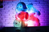 Colorful Luminous Puppy LED Light Plush Dolls