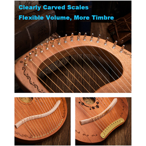 24 Strings - Wooden Harp